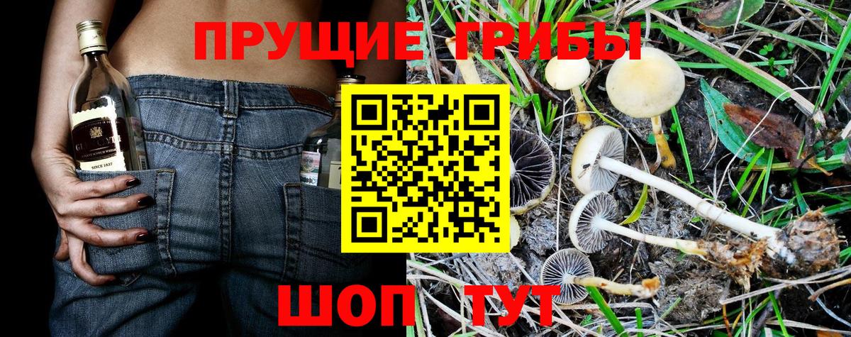 Псилоцибиновые грибы Cubensis  Псилоцибиновые грибы GOLDEN TEACHER  Новотроицк  Вход с VPN 